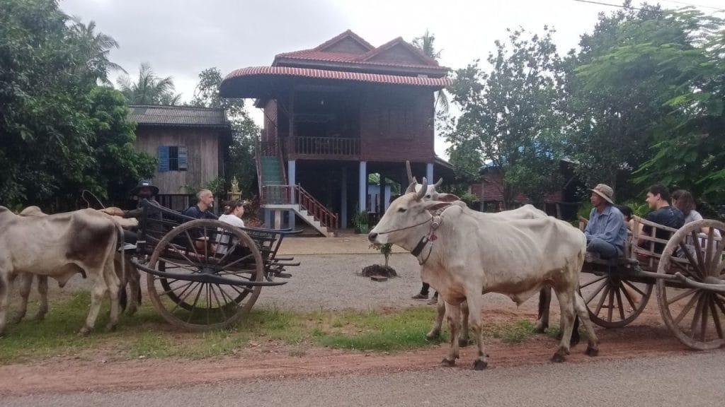 Two ox carts carrying travellers past a traditional wooden Khmer stilt house in Chansor Village near Siem Reap
