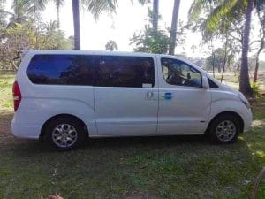 White Hyundai H1 private transfer van parked among palm trees
