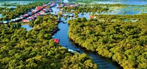 Tonle Sap floating village boat tour with local houses on stilts and scenic views, part of a private Siem Reap city and cultural day tour.
