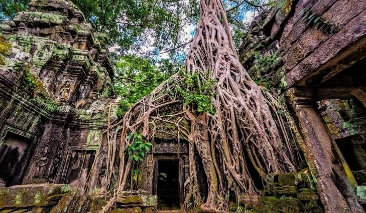 7-Day Cambodia Adventure: River Cruise from Siem Reap to Prek Taol Bird Sanctuary and Battambang
