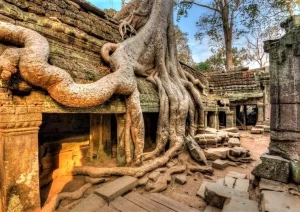 Angkor Wat temple at sunrise