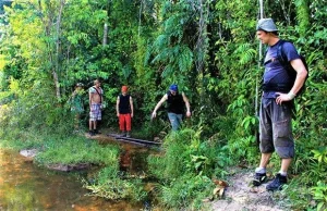 Private tour of Kbal Spean jungle trek, Banteay Srei temple, and the Cambodian Landmine Museum near Siem Reap